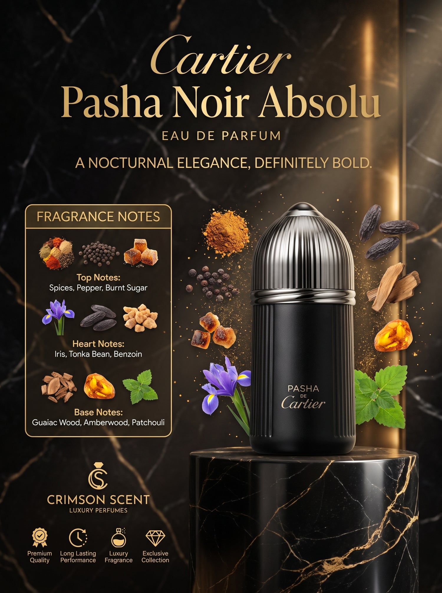Cartier Pasha Noir Absolu EDP 100 M